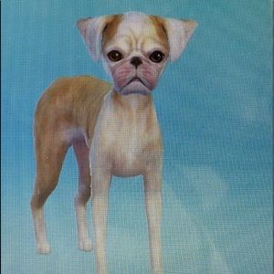 Meet your Posher, Destiny